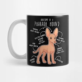 Pharaoh Hound Dog Anatomy Mug